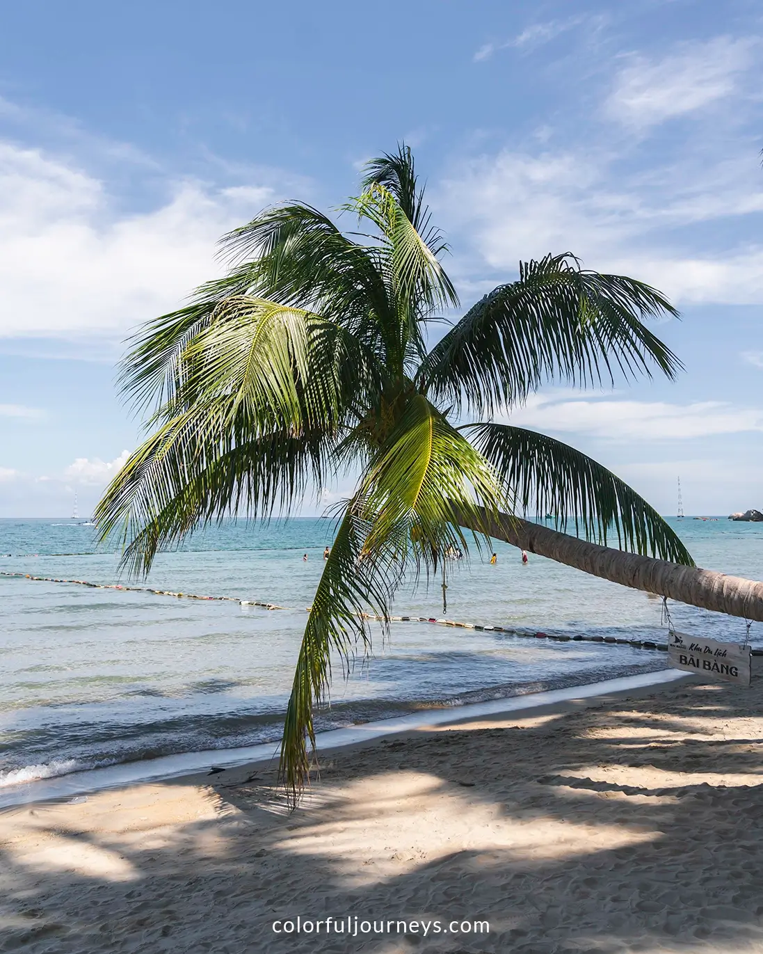 A hanging palm tree on Hon Son Island, Vietnam