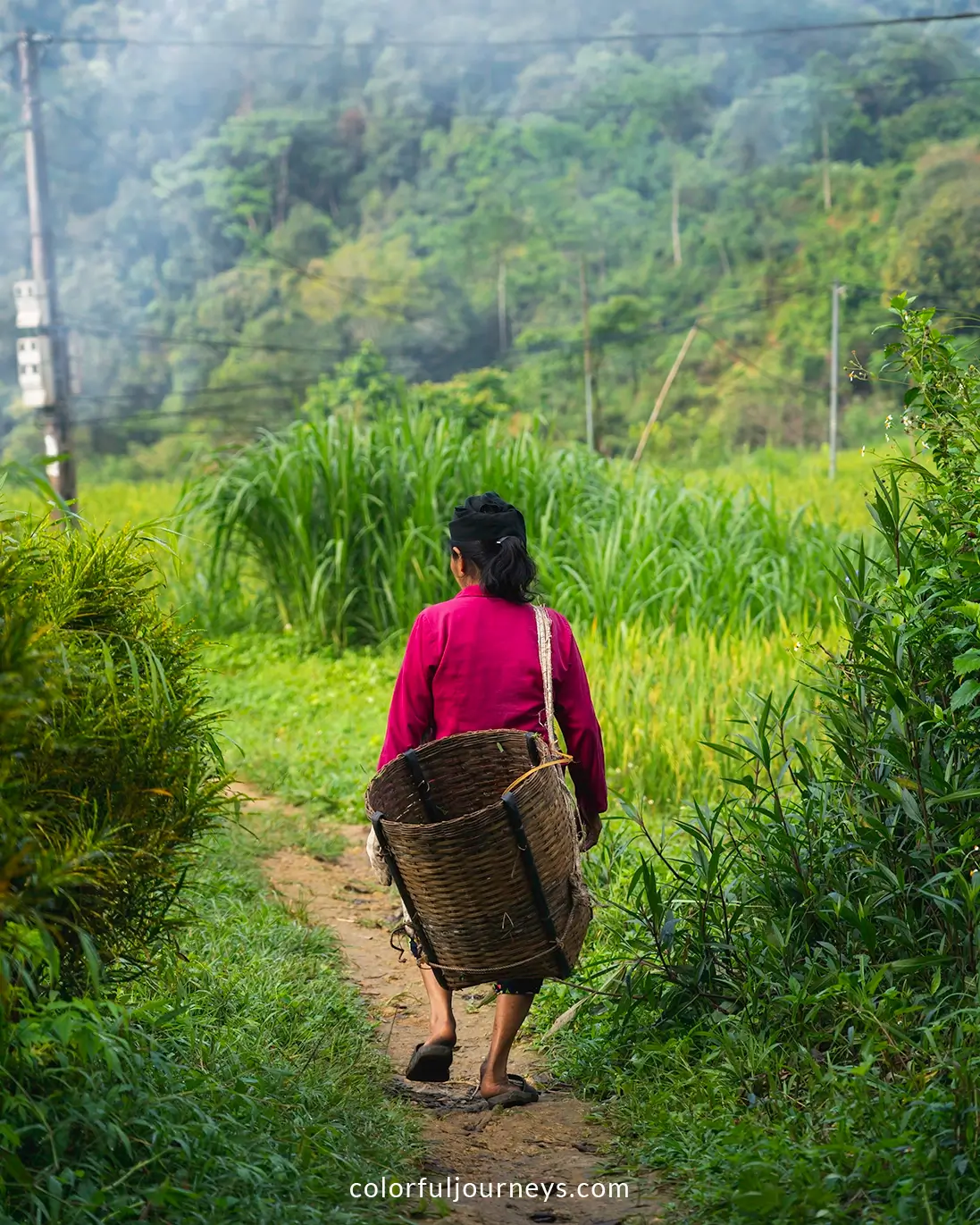 A woman walks towards a waterfall in Pu Luong, Vietnam