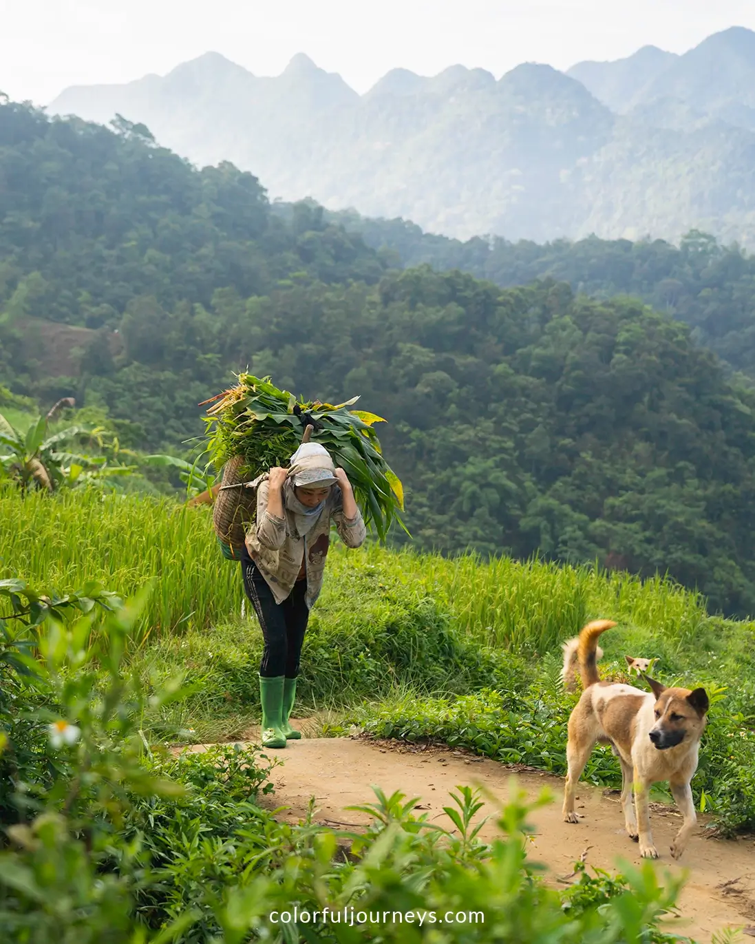 A woman waling through the mountains of Pu Luong, Vietnam