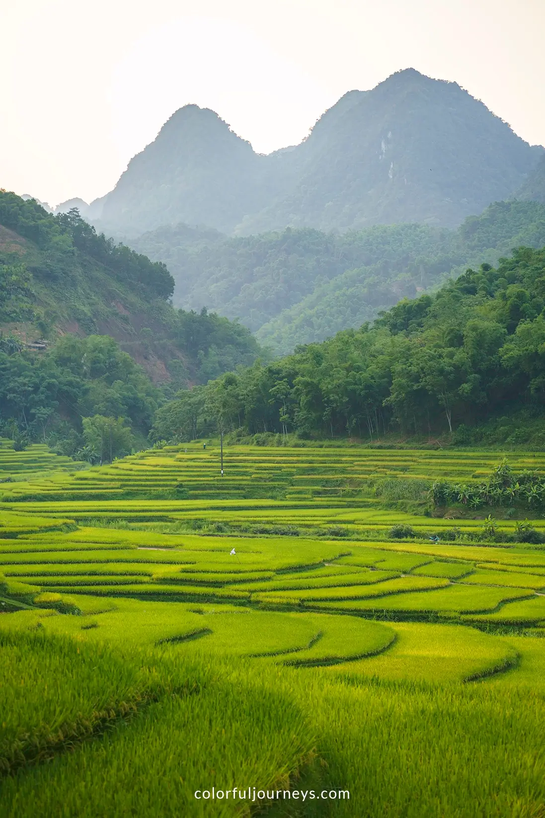 Ricefields and mountains in Pu Luong, Vietnam