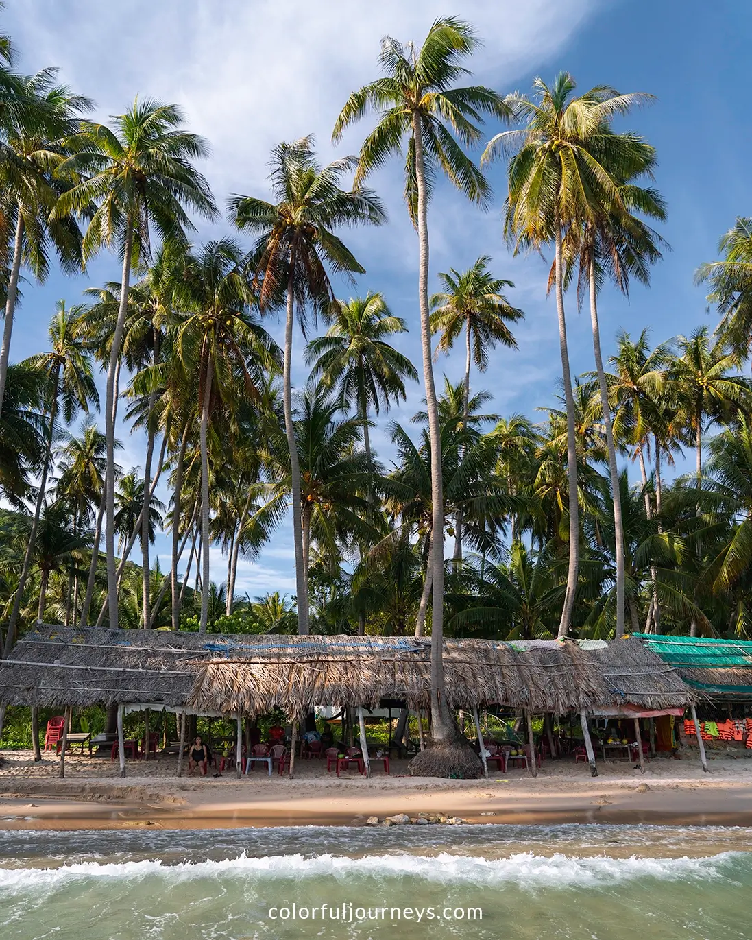 Palm trees on Cay Men beach on Nam Du island, Vietnam