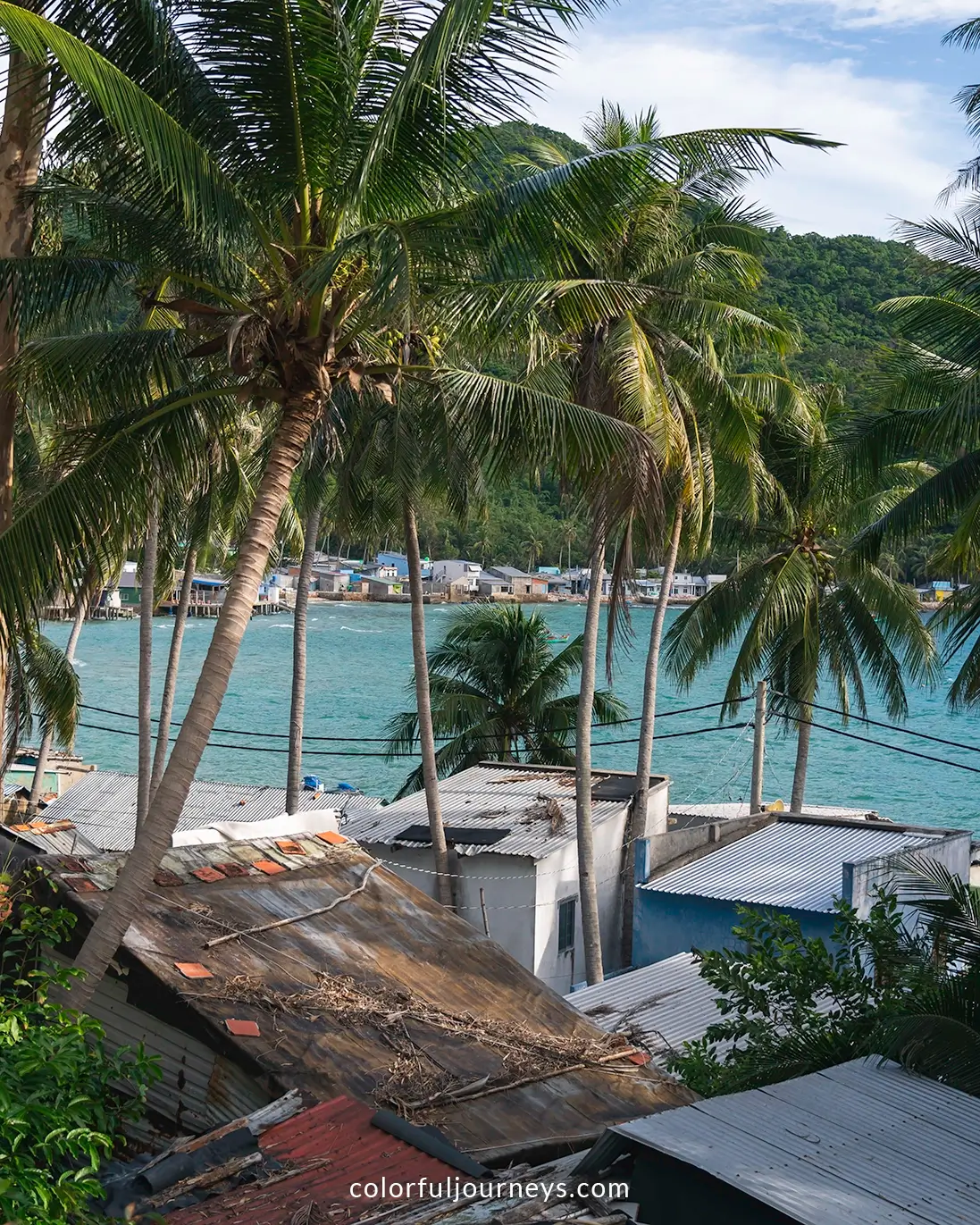 Palm trees surrounded by houses on Nam Du Island, Vietnam