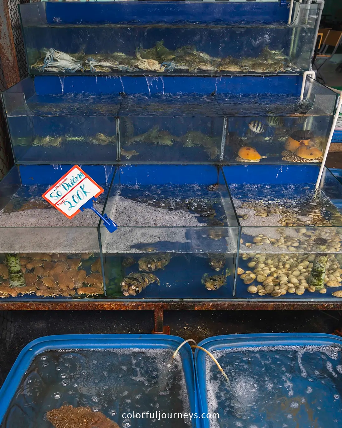 Buckets with seafood on Nam Du island, Vietnam
