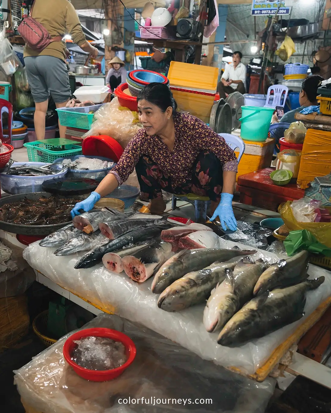 A woman sells seafood at a market in Ha Tien, Vietnam