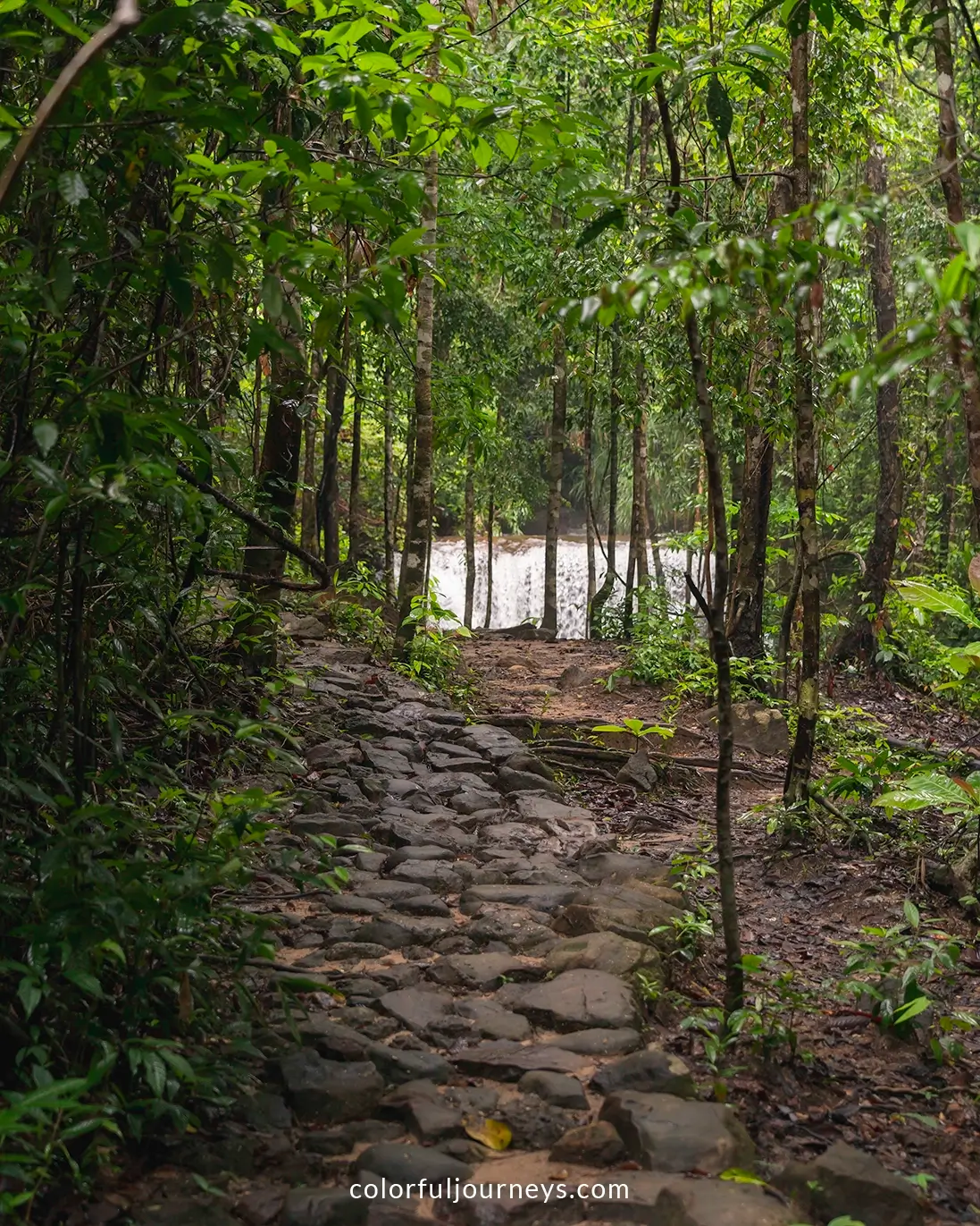 Suoi Tranh Waterfall on Phu Quoc Island, Vietnam