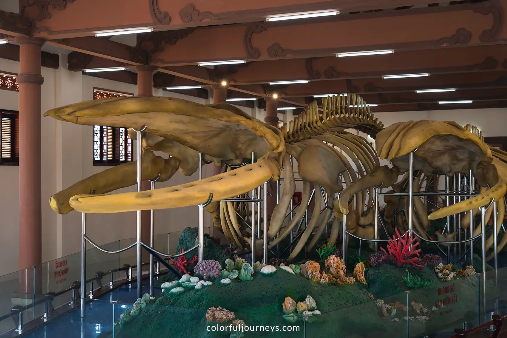 Whale skeletons at Ly Son's whale temple, Vietnam