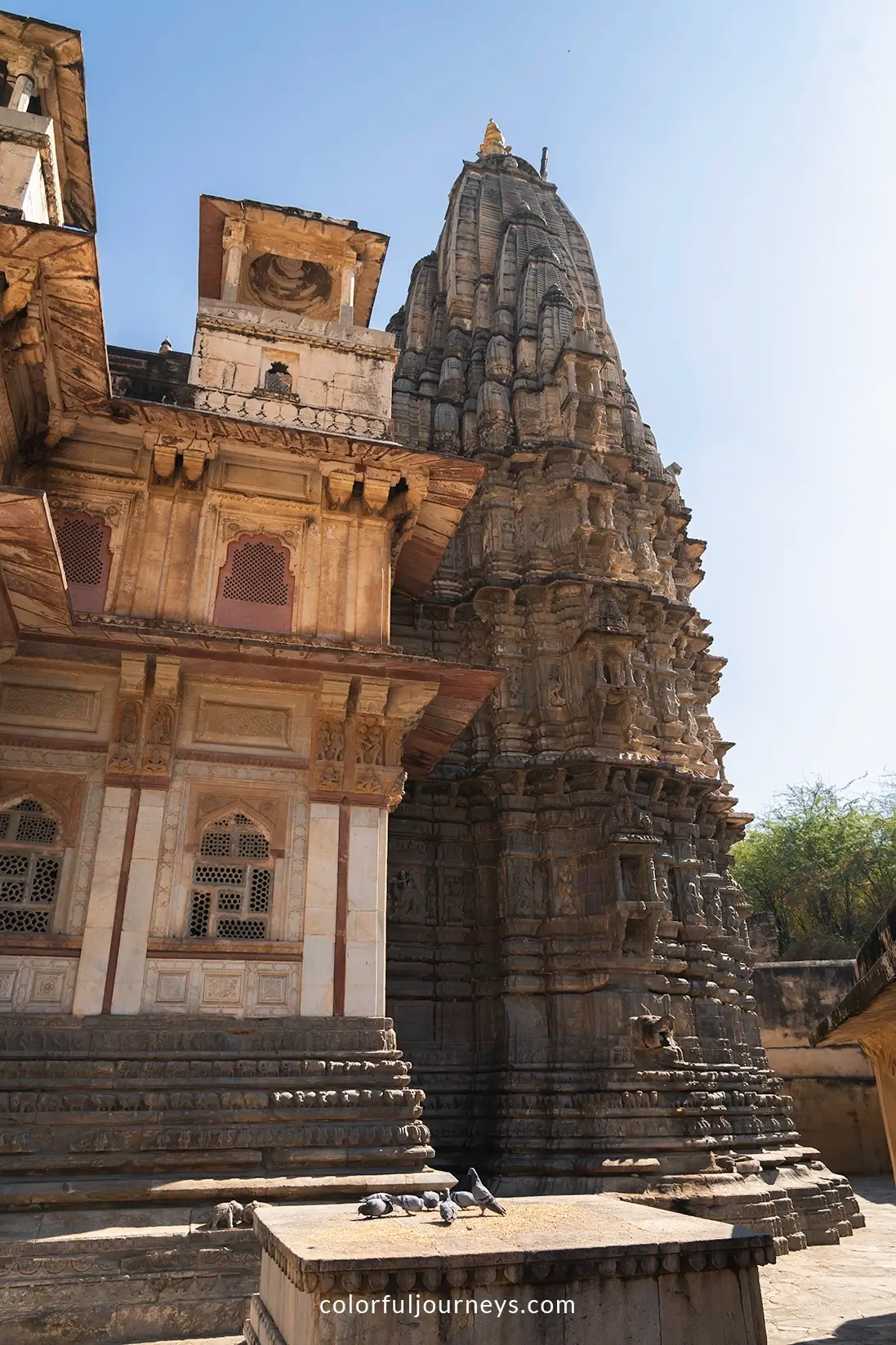 Shri Jagat Shiromaniji Temple in Jaipur, India