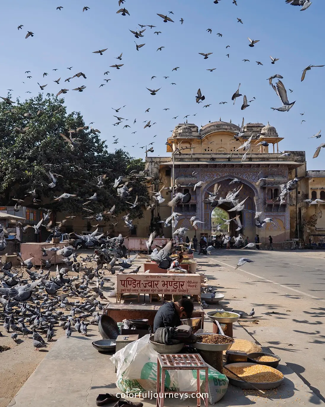 Birds at the Nakkarkhana Pol in Jaipur, India