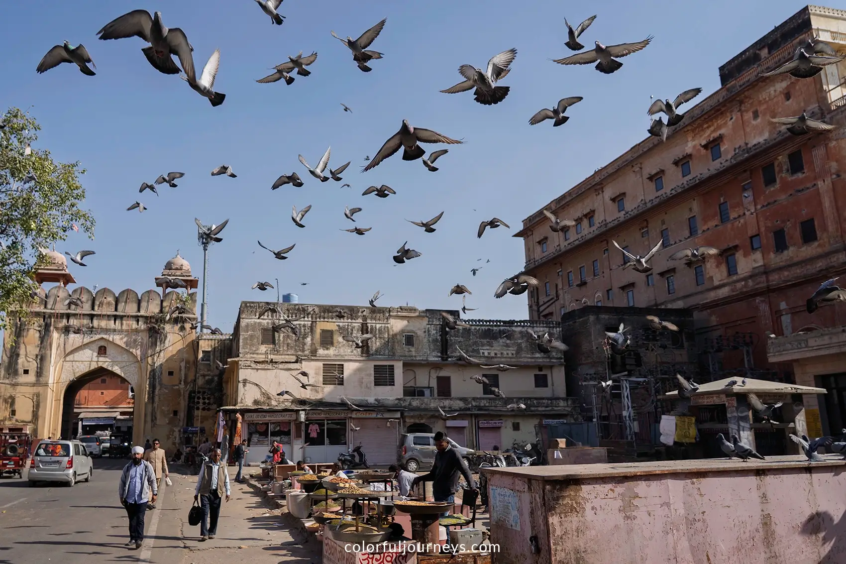 Birds at the Nakkarkhana Pol in Jaipur, India