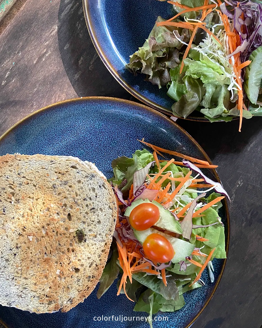 A plate with a sandwich and salad