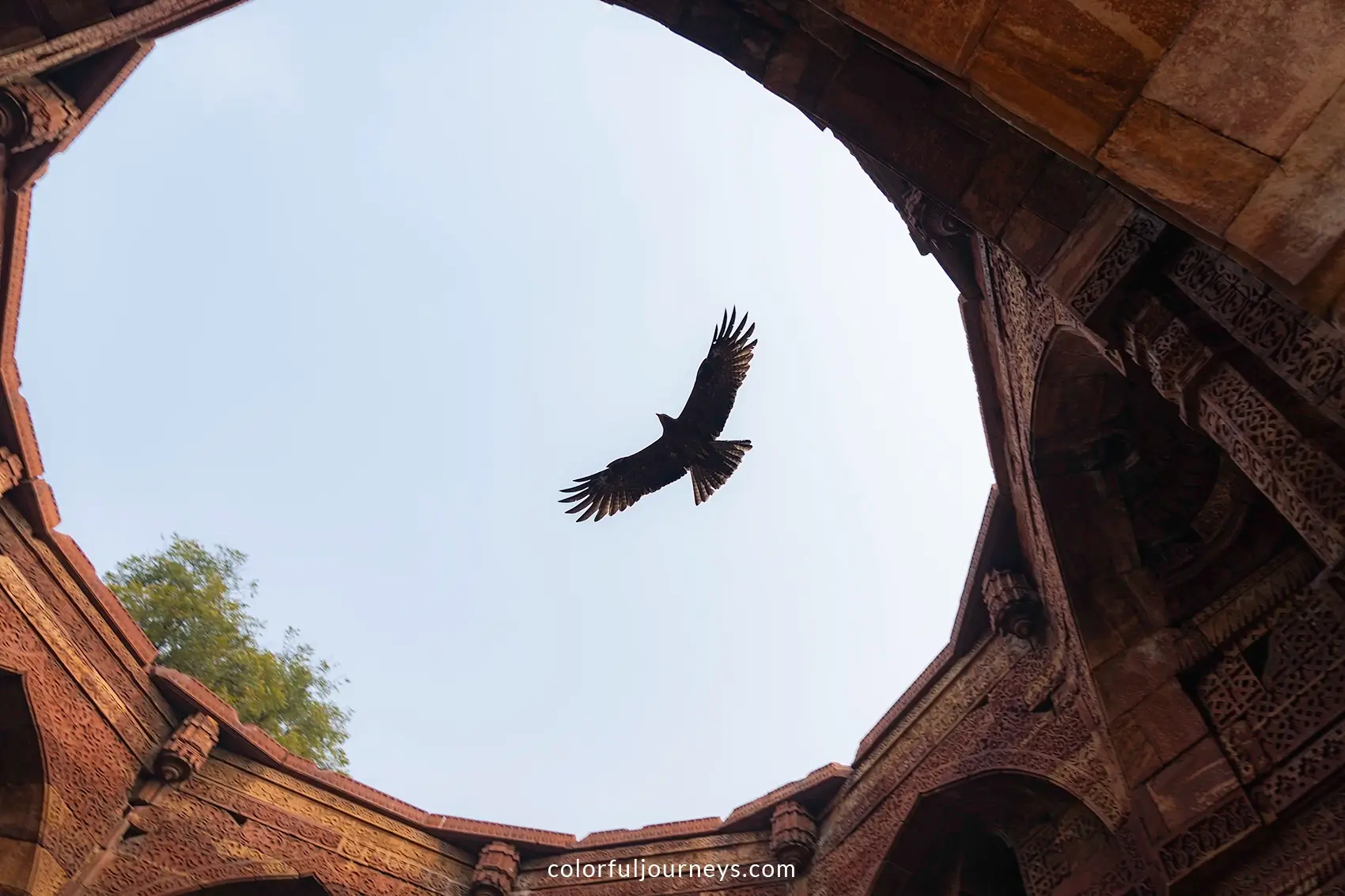 A bird of prey flies over the Tomb of Iltutmish in Delhi