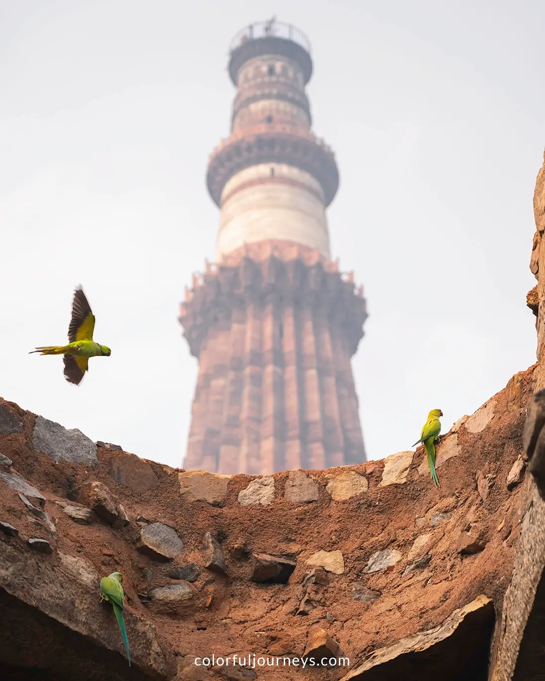 Birds in front of the Qutub Minar in Delhi, India
