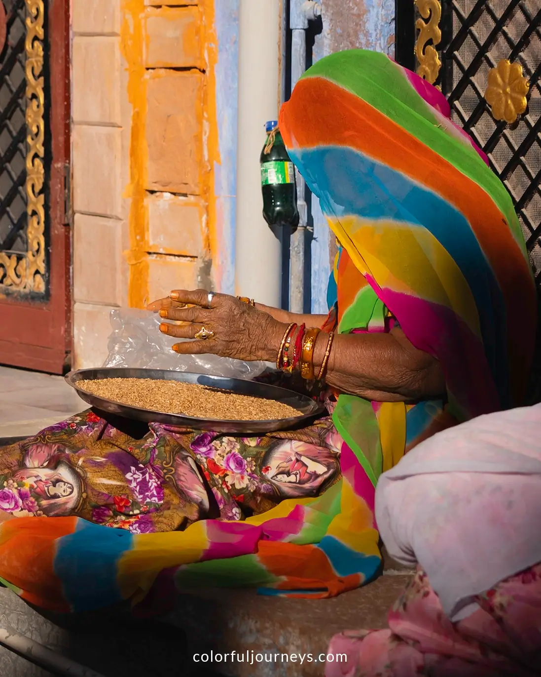 A woman wearing a colorful sari in  Jodhpur, India