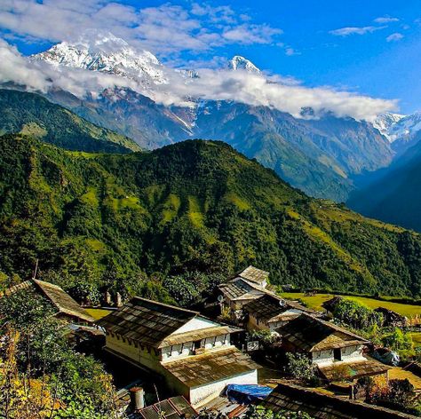 10 Days Wellness Yoga Retreats