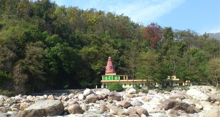10 Days Wellness Yoga Retreats