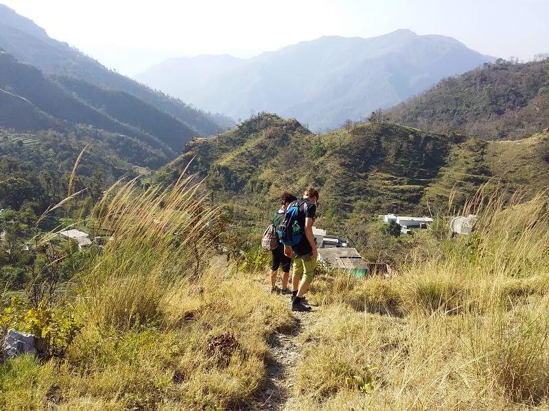 14 Days Wellness Yoga Retreats