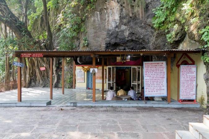14 Days Wellness Yoga Retreats