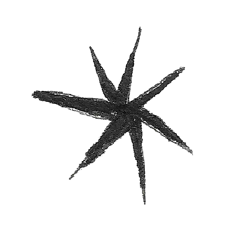 Fernanda Jara Meza star logo