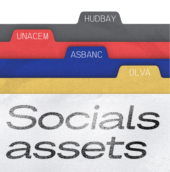 Social Assets