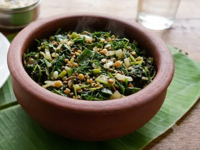 Sopina palya