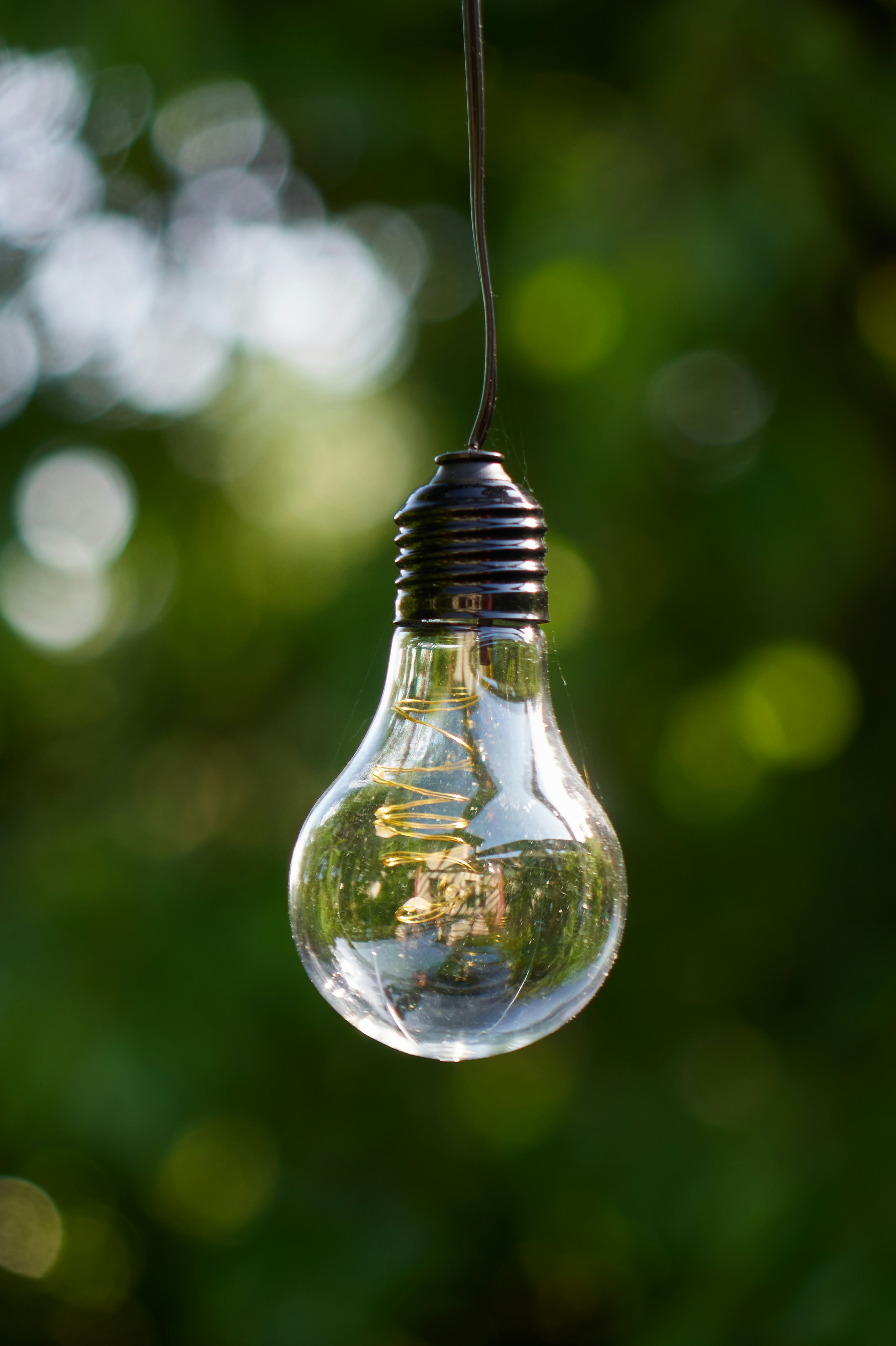 Light Bulb