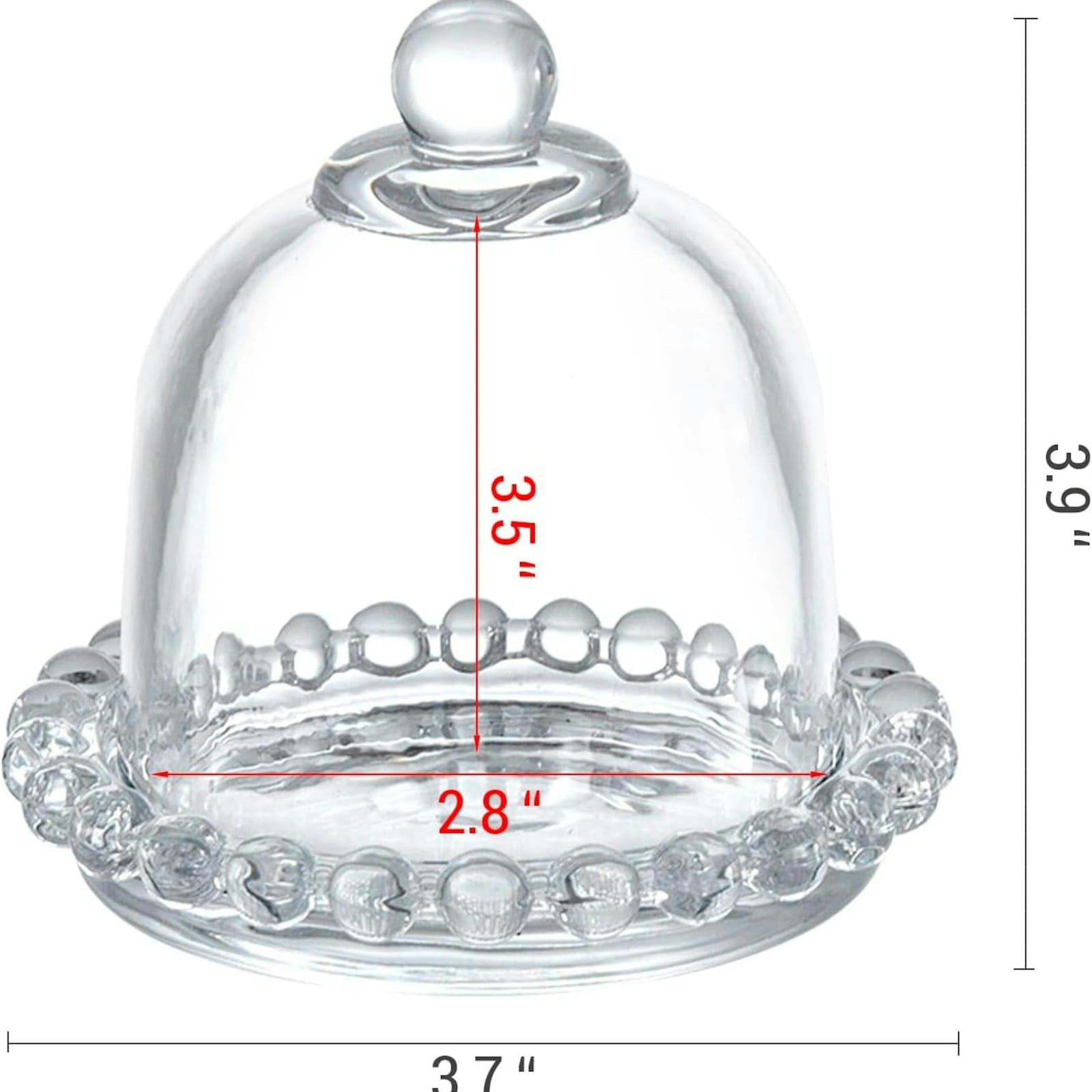 Mini Glass Cloche Domes with Scalloped Base