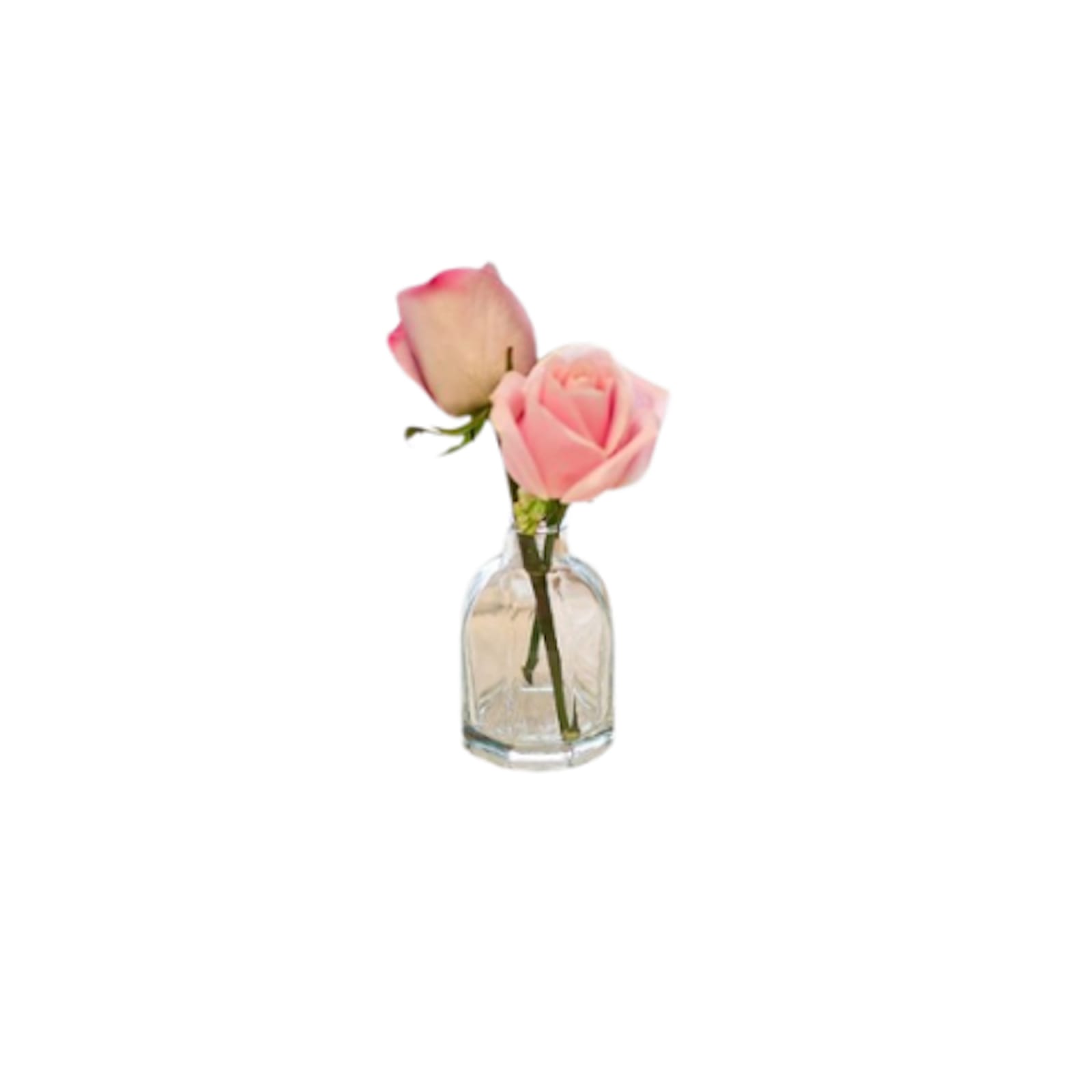 Clear Glass Fluted Bud Vase