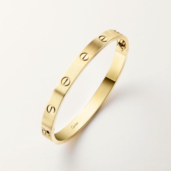Eternal Screw-Lock Bangle 3