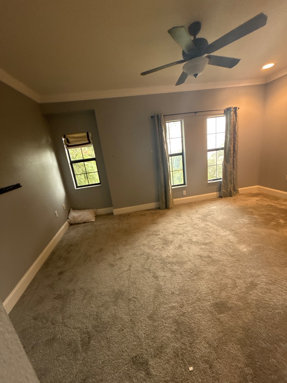 Carpet before