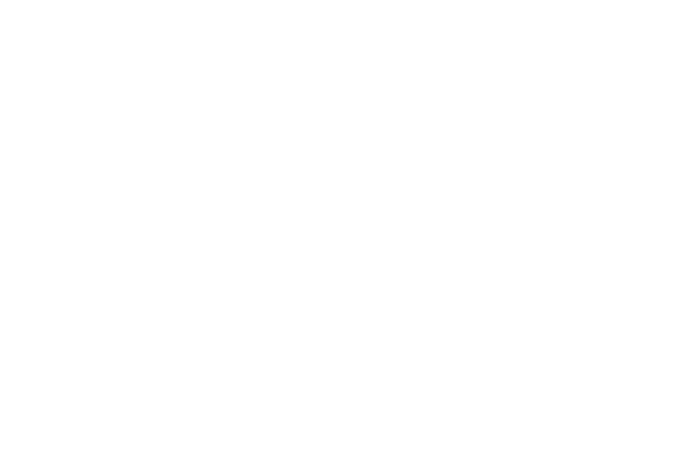 Devin