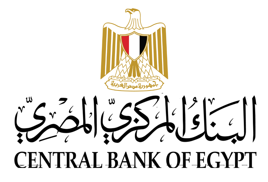الأجانب يسحبون 50 مليار جنيه من أدوات الدين المصرية خلال يومين والدولار يسجل أعلى مستوى في 8 أشهر