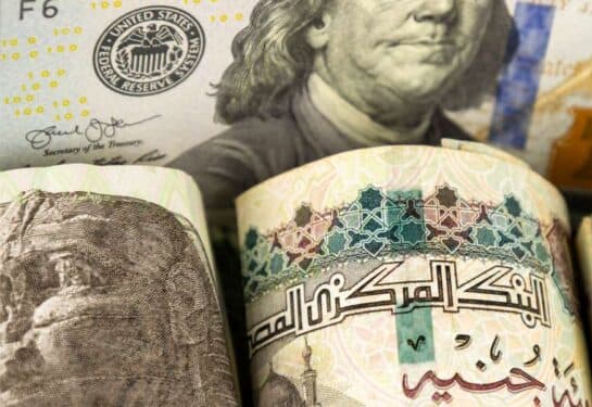"تحويلات المصريين بالخارج تسجل قفزة قياسية وتصل إلى 25.6 مليار دولار خلال 7 أشهر"