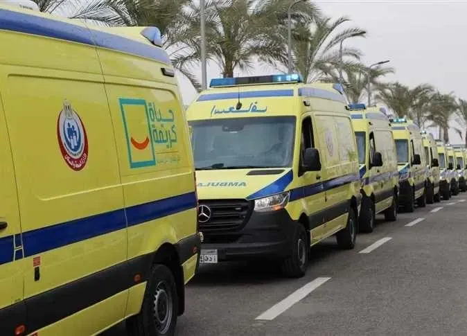 بالأسماء.. إصابة 11 شخصًا في انقلاب ميكروباص بطريق الإسكندرية - مطروح