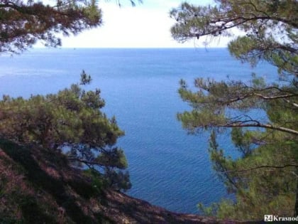 Ротавирус 2024