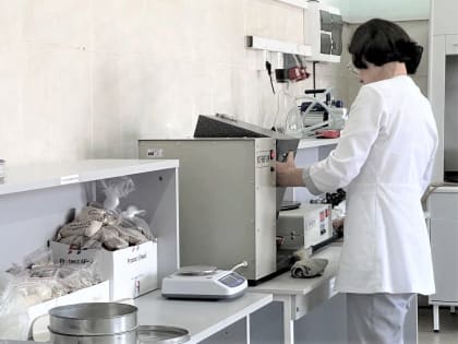 Кубань: Лидеры в обучении специалистов для регионального рынка труда