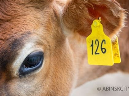 ВНИМАНИЮ НАСЕЛЕНИЯ!