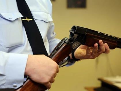 Добровольная сдача оружия в Ейском районе