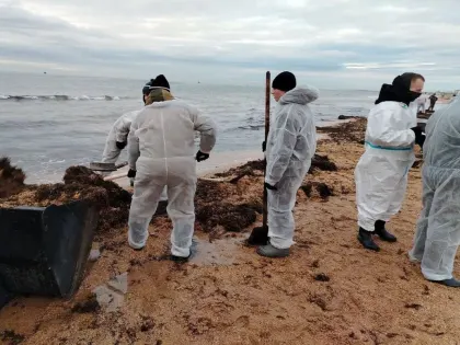 Более 129 тыс. тонн замазученного песка вывезли с пляжей Краснодарского края