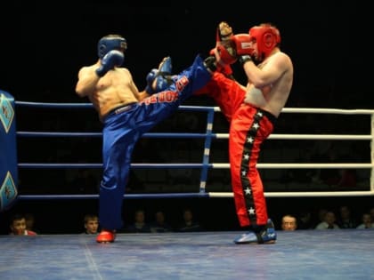 ​В Сочи намерены сменить руководителя федерации кикбоксинга «в связи с публично открывшимися обстоятельствами»