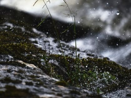 Какой будет погода на неделе  в Краснодарском крае