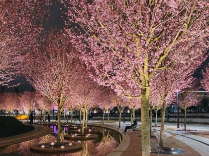 Какая погода ожидается 2 апреля на Кубани, рассказали метеорологи