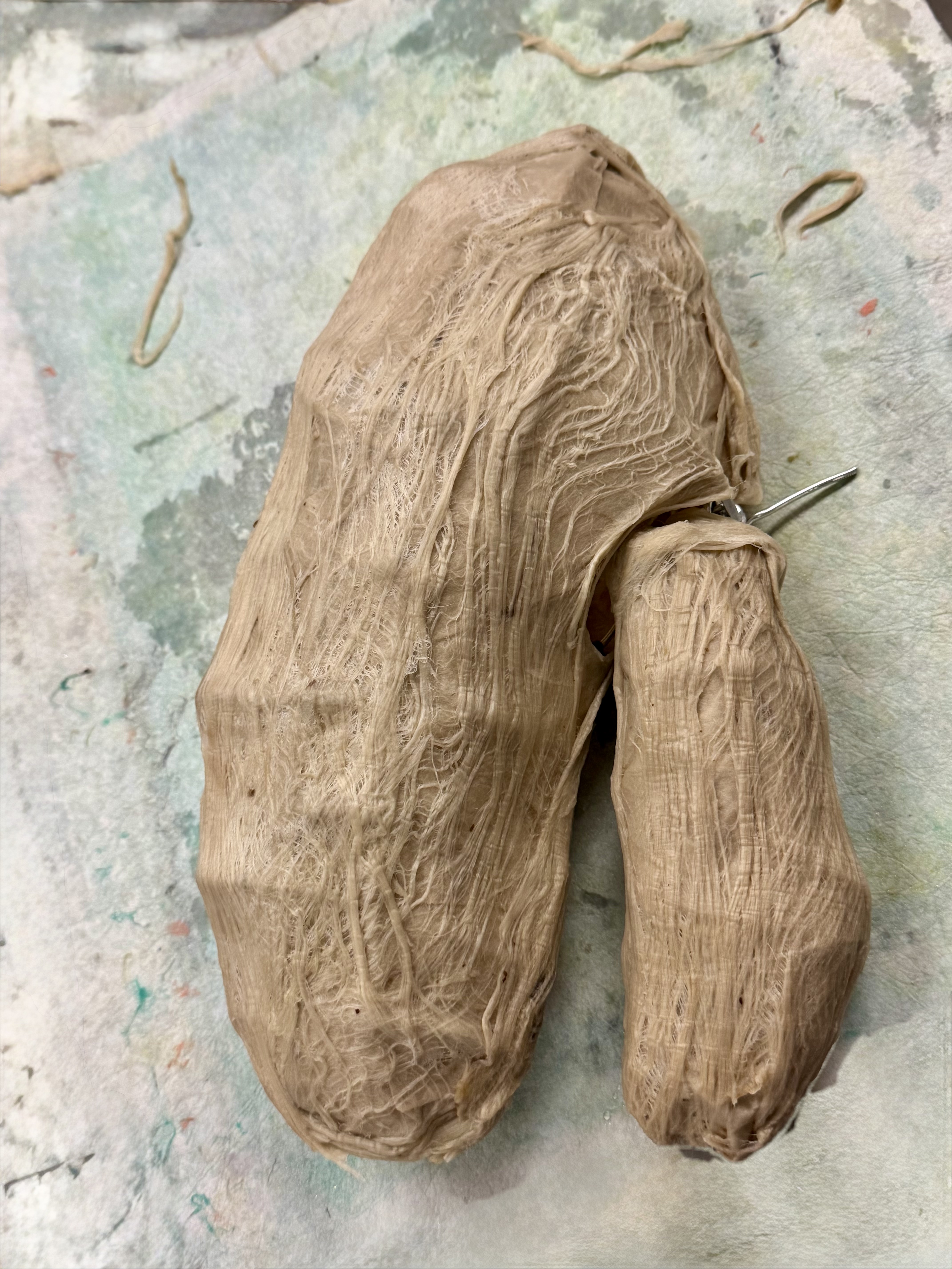 KOZO CLAW
