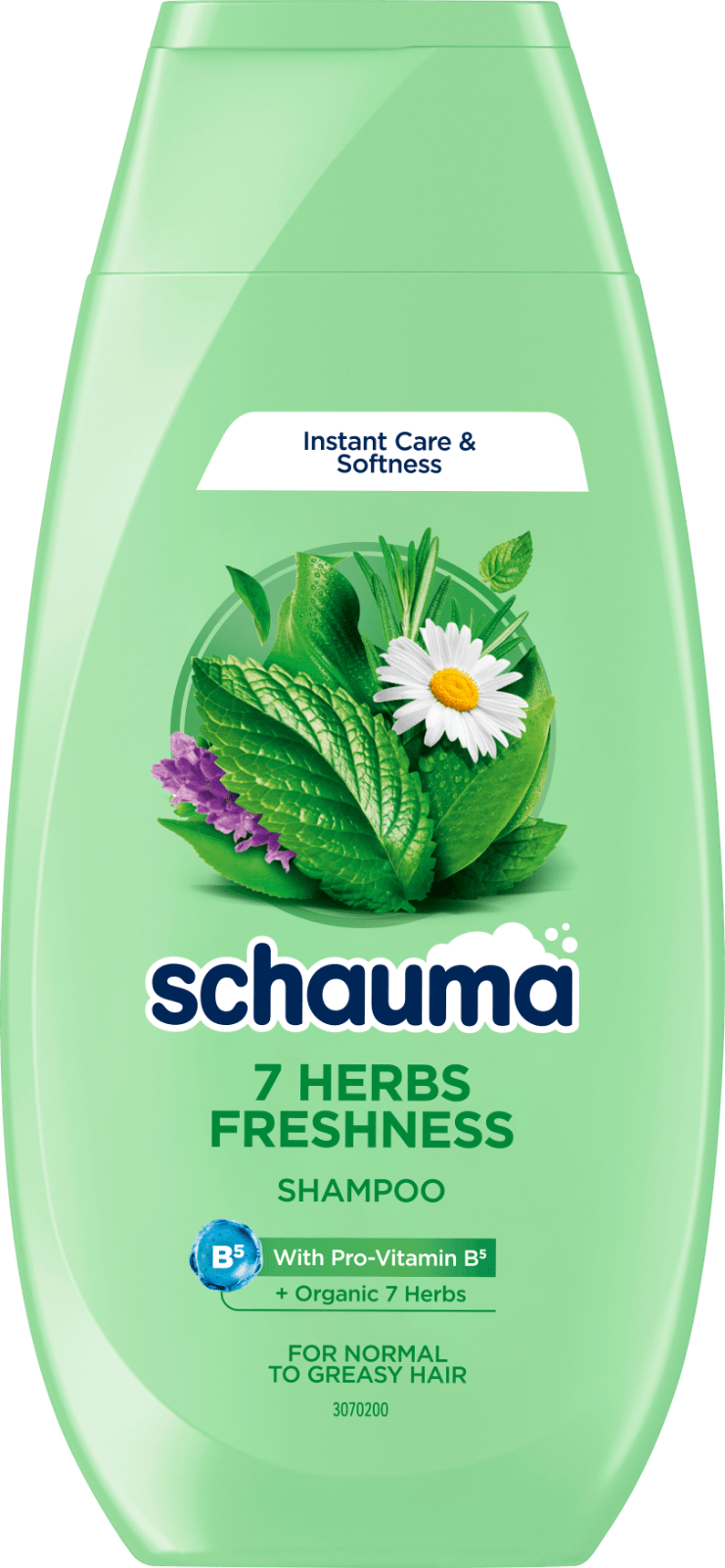 7 Herbs Freshness