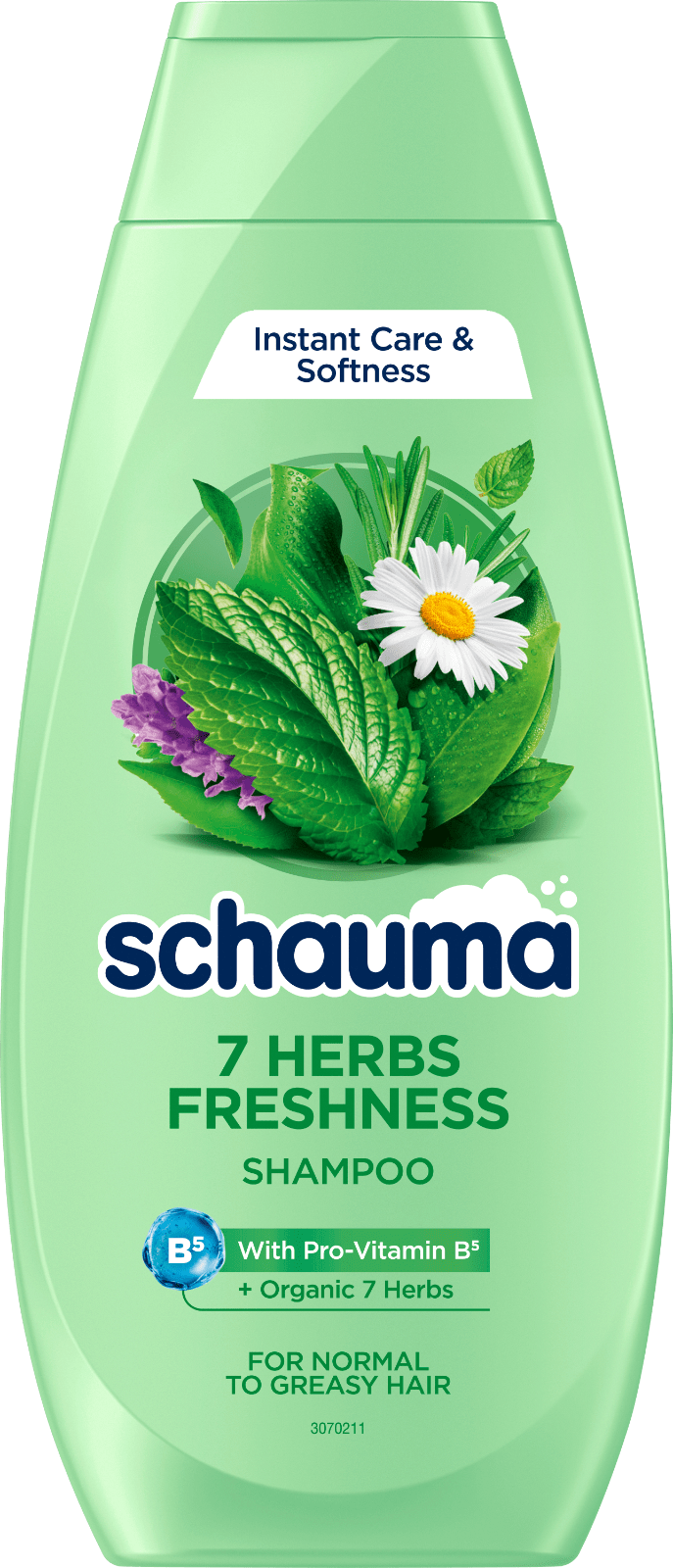 7 Herbs Freshness