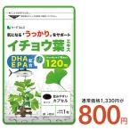 サプリ サプリメント イチョウ葉エキス　約1ヵ月分 DHA EPA フラボノイド配糖体24％以上 テルペンラクトン6％以上