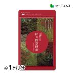 サプリ サプリメント サプリ サプリメント 匠の野草酵素　約1ヵ月分　酵素　練酵素　生酵素