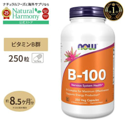 【ポイントUP★14日1時-17日9時】[健やかな毎日に欠かせない栄養素]ビタミンB-100 250粒 約8ヶ月分 NOW Foods (ナウフーズ)[お得サイズ] 単品 セット B-100 250capsules カプセル 健康サプリメント 栄養補助食品 海外 アメリカ