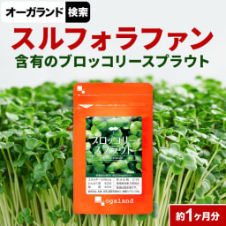 楽天1位！ ブロッコリースプラウト サプリ（約1ヶ月分）ダイエット サプリ ダイエットサプリ スーパーフード 食事で不足 ブロッコリー ミネラル 栄養 超硫黄分子 スルフォラファン ポイント消化 送料無 ポイント消費 送料無料