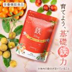 その他のブランド 鉄分 サプリ ルミエル 鉄 10mg フェリチン鉄 ヘム鉄 葉酸 サジー ラクトフェリン ビタミンC まめ鉄 30粒入 栄養機能食品 ポイント利用 パッケージ画像