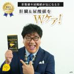 その他のブランド 肝活ガンマン サプリメント haju 1日3粒 肝臓サプリ 尿酸値サプリ 機能性表示食品 ALT値 AST値 爆買 パッケージ画像